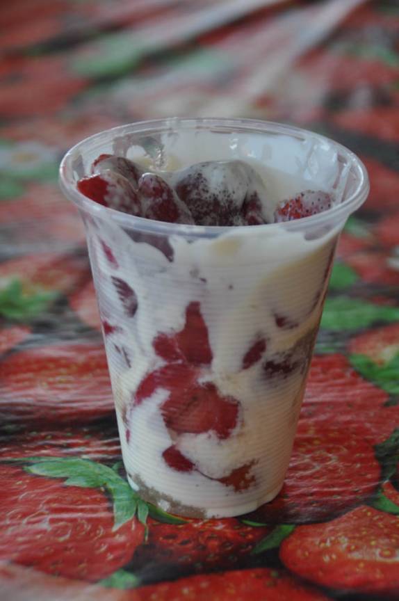 Suculenta 'fresa con crema' em Irapuato, no México